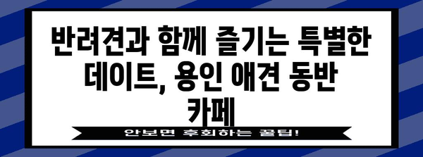 용인 애견 동반 카페 | 반려견과의 로맨틱 데이트
