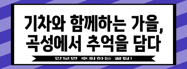 전남 곡성 가을 여행 추천 | 낭만적인 기차마을에서 추억 만들기