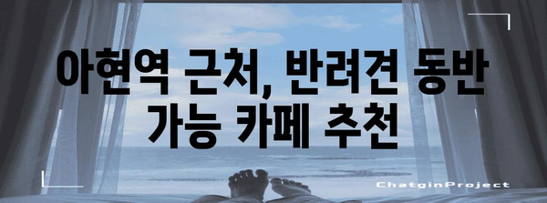 아현역 반려견과 즐거운 커피 타임 | 추천 카페 속으로