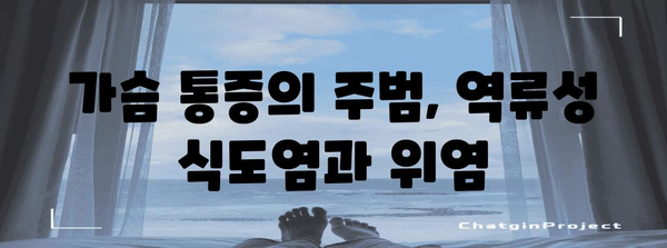 가슴통증 완화 가이드 | 역류성 식도염, 위염 원인과 해결책