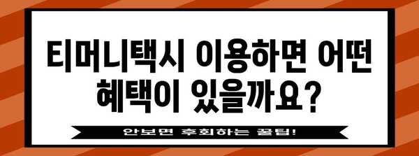 경북에서 티머니택시 활용하기 | 편리함과 혜택 가이드