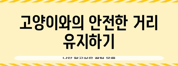 고양이와 친구 되기 | 안전한 상호 작용 가이드