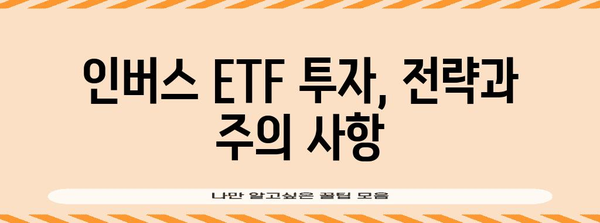 미국 인버스 레버리지 ETF 투자 가이드 | 가이드와 전략