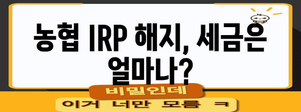 농협 IRP 해지 필수 가이드 | 퇴직금 받는 완벽한 절차