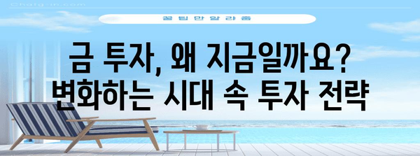 금 투자의 미래 | 내 통찰과 전략적 안내서