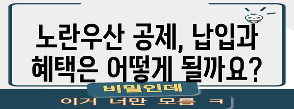 노란우산 공제 | 가입부터 폐업까지 완벽 안내