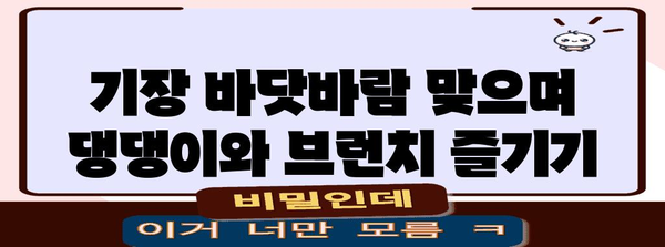 기장 애견 동반 브런치 카페 추천 | 주차 편리한 곳 5곳
