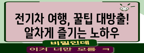 자유로운 전기차 여행 시작하기 | 제주도 전기차 렌트 완벽 가이드