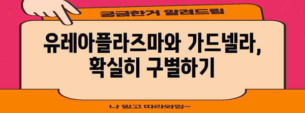 유레아플라즈마와 가드넬라의 확실한 구별하기