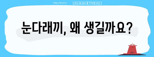 눈다래끼 원인과 가정에서 해결하는 치료법