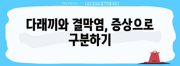 다래끼의 오해 | 원인, 결막염과의 차이점 파헤치기