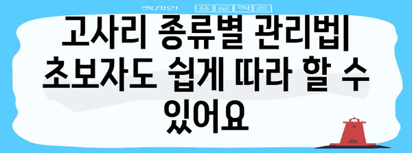 베란다 정원에서 고사리를 키워라 | 완벽한 가이드