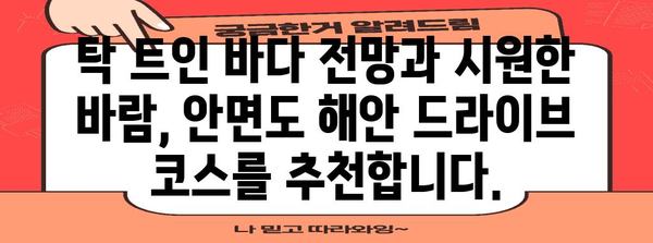 안면도 해안 드라이브 | 얼음처럼 시원한 여름 휴양지