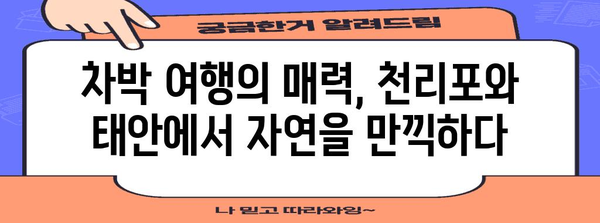 노지캠핑 및 차박 여행 가이드 | 천리포와 태안의 이색적인 즐거움