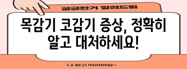 목감기 코감기 빠른 완화 가이드 | 증상, 예방, 치료법