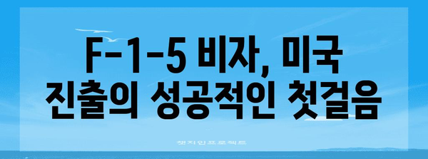 F-1-5 비자 신청 단계별 안내, STEM 교육을 위한 미국 진출법