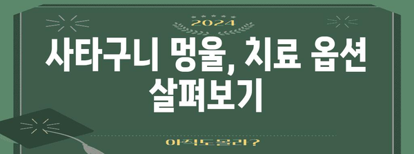 사타구니 멍울 완전 가이드 | 원인별 대처법과 치료 옵션