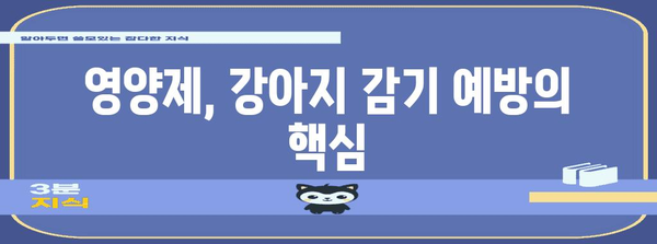 강아지 감기와 기침 예방 가이드 | 영양제로 면역력 강화