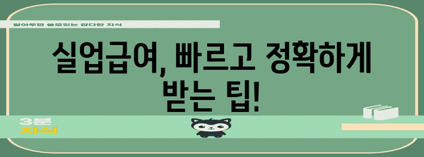 실업급여 신청 완벽 가이드 | 고용센터부터 수령까지