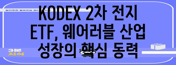 KODEX 2차 전지 ETF | 웨어러블 산업 성장 활용