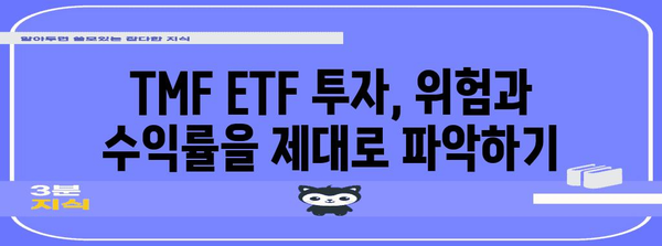 TMF ETF 투자 전략 가이드 | 초보자를 위한 단계별 안내