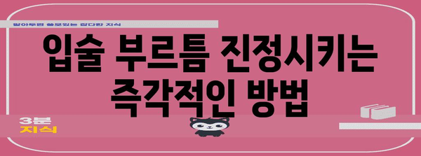 입술 부르틈 원인과 해결법 | 치유부터 예방까지의 완벽 가이드