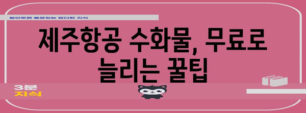 제주항공 수화물 위탁 비용과 별도 구매 방법 파헤치기