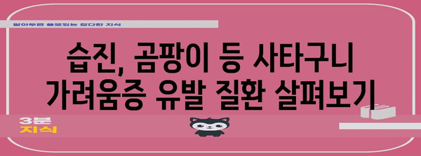 사타구니 가려움 관리법 | 원인과 치료 가이드