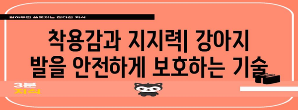 안전한 강아지 산책 신발 선택 기준