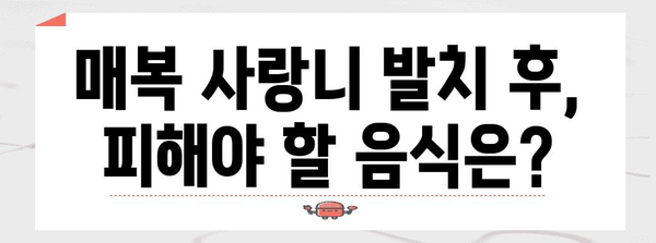 매복 사랑니 발치 후 식단 | 편안한 회복을 위한 필수 사항