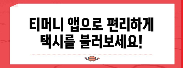 경북에서 티머니택시 활용하기 | 편리함과 혜택 가이드