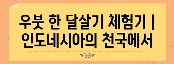 우붓 한 달살기 체험기 | 인도네시아의 천국에서