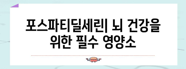 뇌 건강 필수 영양제 | 포스파티딜세린 효능과 권장 사항