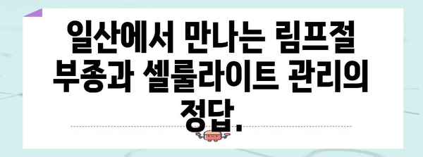 림프절 부종·셀룰라이트 관리 | 일산의 믿음직한 솔루션