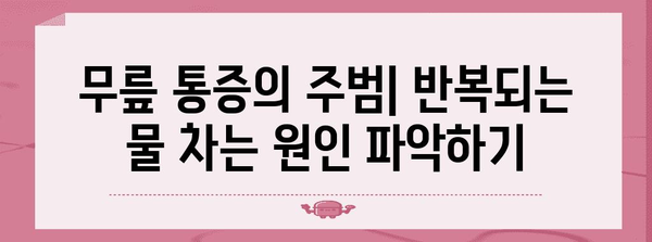 무릎에 물 차는 증상 반복 예방 가이드 | 원인 찾기