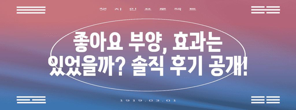 인스타그램 좋아요 부양 후기 | 스스로 시도한 사례