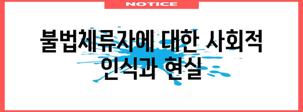 불법체류자의 법적 처벌과 권리 보호
