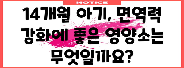 14개월 아기 필수 영양소 가이드 | 건강한 성장을 위한