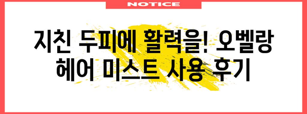 더위를 식히는 탈모 방지 미스트 | 오벨랑 헤어 미스트 리뷰