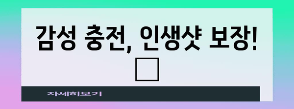 안면도 카페는 이곳! 바다 전망 갖춘 예쁜 카페 추천