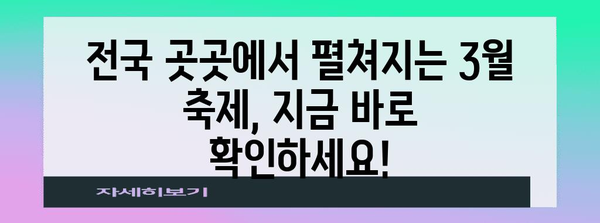 국내 봄축제 일정 총정리 | 2024년 3월 열리는 축제 모음집