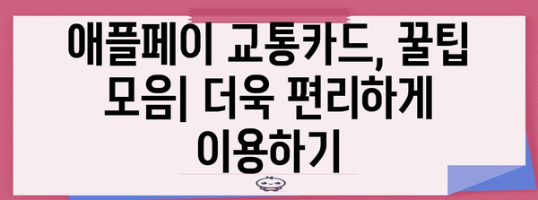애플페이 교통카드 한국판 완전 가이드 | 등록부터 이용 꿀팁