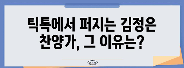김정은 찬양가 틱톡 인기 분석 | 문화적 영향과 사회적 의미