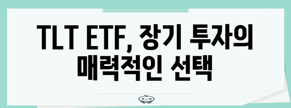 TLT ETF 수익률 분석 | 배당금과 포트폴리오 수익 비교