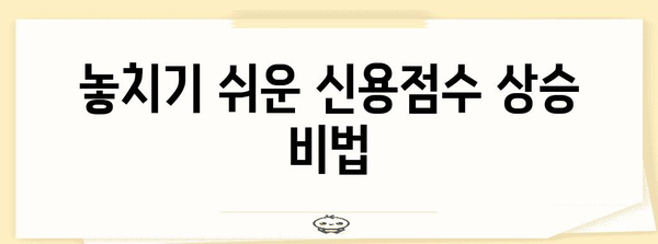 신용점수 1,000점 전략 | 완벽 가이드