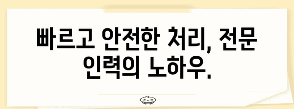 광주 믿을 수 있는 폐기물 대량 처리 업체 찾기