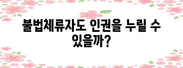 불법체류자의 법적 처벌과 권리 보호