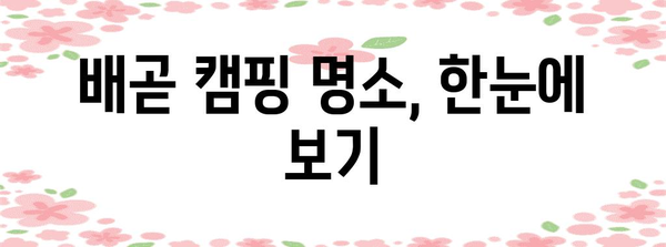 배곧 캠핑 둘러보기 | 맛집 안내와 예산 관리 꿀팁