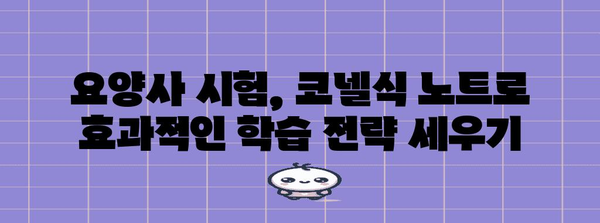 코넬식 노트 활용법 | 요양사 자격증 공부법 정복하기