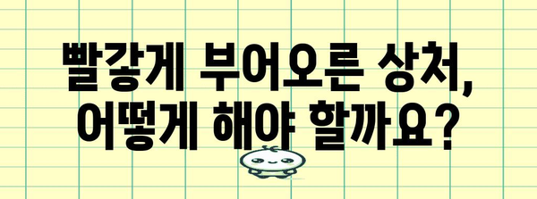 고양이 모기 물림 대처법 | 효과적인 응급처치